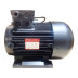 Электродвигатель Melegari Luigi (5.5кВт, 380В, 1450об/мин, п.в. 24мм, Dфл 87мм, H112)