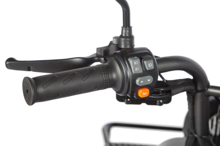 Трицикл электрический Wanshida LC300 (60V, 1000W, черный) (0000310-3075)