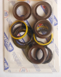 Ремкомплект Idrobase ZX.1793  (Bertolini KIT76, упл. плунжеров, TML)