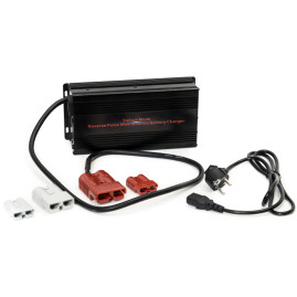 Зарядное устройство EVEREST Energy (24В, 20А, для LiFePO4 АКБ)