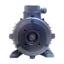 Электродвигатель Melegari Luigi (5.5кВт, 380В, 1450об/мин, п.в. 24мм, Dфл 75мм, H112)