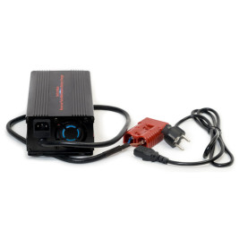 Зарядное устройство EVEREST Energy LFP-2430 (24В, 30А, для LiFePO4)