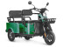 Трицикл электрический Wanshida LC-F150 (60V, 1000W, зеленый) (0000315-3078)