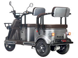 Трицикл электрический Wanshida U1-X 60V 800Вт (коричневый)
