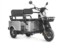 Трицикл электрический Wanshida LC-F150 (60V, 1000W, серый)