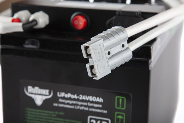 Тяговый аккумулятор RuTrike LiFePO4 (24В, 60Ач)