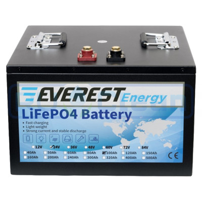 Аккумуляторная батарея Everest Energy (24В, 100Ач, LiFePO4)