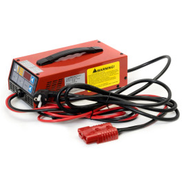 Зарядное устройство EVEREST Energy LFP-24100 (24В, 100А, для LiFePO4)