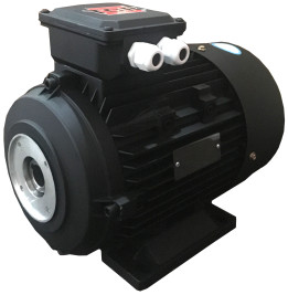 Электродвигатель TOR 14800 (11кВт, 380В, 1450об/мин, п.в. 24мм, Dфл 87мм, H132)