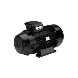 Электродвигатель Nicolini (30кВт, 380В, 1450об/мин, п.в.30мм, H180, с муфтой)