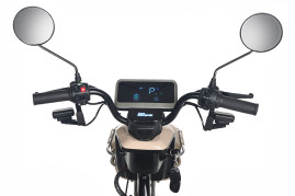 Трицикл электрический Rutrike Gelbert Atlas (48V/60V, 600 Вт, бежевый)