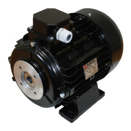 Электродвигатель Nicolini (11кВт, 380В, 1450об/мин, п.в. 24мм, Dфл 87мм, H132)