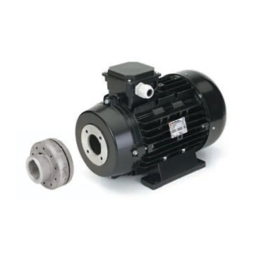 Электродвигатель Nicolini (9.2кВт, 380В, 1450об/мин, п.в.24мм, H132, с муфтой)