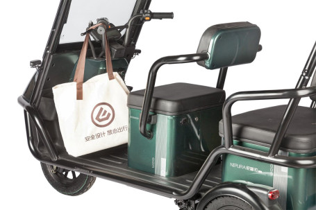 Трицикл электрический Wanshida NIPLA 500 60V 1000Вт (черно-зеленый)