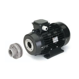 Электродвигатель Nicolini (15кВт, 380В, 1450об/мин, H160, с муфтой)