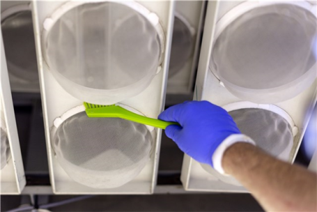 Щетка для чистки деталей Vikan (205мм, лаймовый)