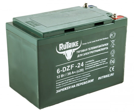 Тяговый аккумулятор RuTrike 6-DZF-24 (12V, 24A/h, GEL)