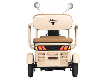 Трицикл электрический Rutrike Gelbert Atlas (48V/60V, 600 Вт, зеленый)