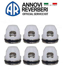 Комплект клапанов Annovi Reverberi 2186 (6шт)