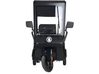 Трицикл электрический Wanshida NIPLA 570 (60V, 1000W, черный)