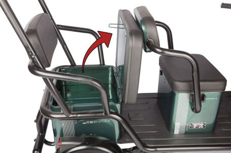 Трицикл электрический Wanshida NIPLA 500 60V 1000Вт (черно-белый)