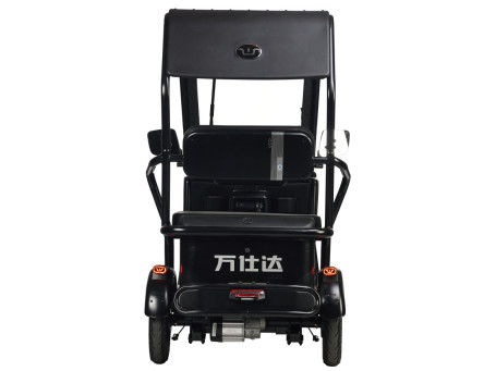 Трицикл электрический Wanshida NIPLA 570 (60V, 1000W, зеленый) (0000299-3089)