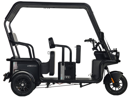 Трицикл электрический Wanshida NIPLA 570 (60V, 1000W, зеленый) (0000299-3089)