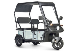 Трицикл электрический Wanshida NIPLA 570 (60V, 1000W, зеленый)