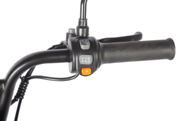 Трицикл электрический Wanshida HOT HATCH 60V 650Вт (черно-зеленый)