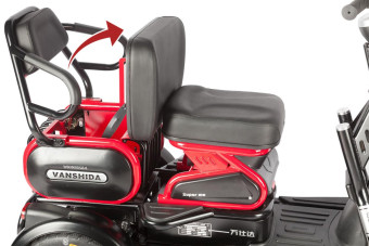 Трицикл электрический Wanshida HOT HATCH 60V 650Вт (черно-зеленый)