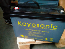 Тяговый аккумулятор Koyosonic NPMG335-6 (6В, 350А/ч)
