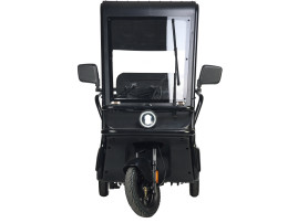 Трицикл электрический Wanshida NIPLA 570 (60V, 1000W, белый)