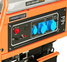 Генератор бензиновый EVOline PB 22003 E