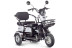 Трицикл электрический Rutrike Бумеранг (белый) (022656-3241)