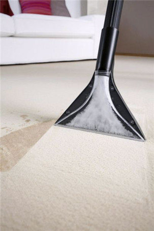 Моющий пылесос Karcher SE 5.100