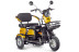 Трицикл электрический Rutrike Бумеранг (золотистый) (022656-3243)