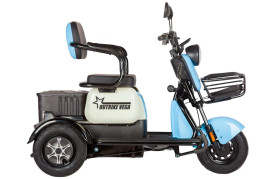 Трицикл электрический Rutrike Вега (синий)