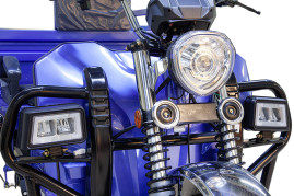 Трицикл электрический Rutrike Эксперт ПРО 2000 (серый)