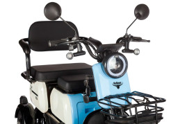 Трицикл электрический Rutrike Вега (черный)